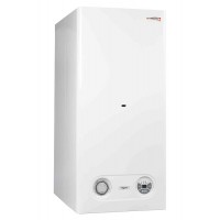 Котел газовый Protherm 24 КТZ тигр